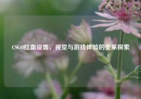 CSGO红血设置，视觉与游戏体验的变革探索
