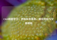 CSGO钥匙中介，市场灰色角色、潜在风险与交易规则
