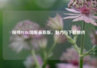 探寻PUBG国服最新版，魅力与下载期待