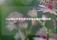 CSGO虚拟世界卖枪钱现象及提现问题剖析