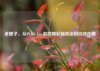 老橙子，从PUBG Lite游戏精彩到其皮的功效作用