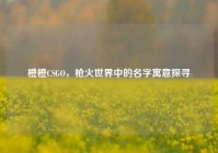 橙橙CSGO，枪火世界中的名字寓意探寻