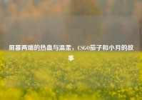 屏幕两端的热血与温柔，CSGO茄子和小月的故事