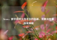 Steam，数字游戏分发平台的起源、发展及所属国家探秘