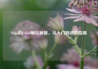 Niko的CSGO畅玩秘籍，从入门到进阶指南