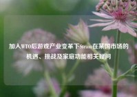 加入WTO后游戏产业变革下Steam在某国市场的机遇、挑战及家庭功能相关疑问