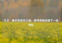 大卫·席尔瓦转会之谜，探寻其新征程下一站球队