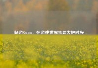 畅游Steam，在游戏世界挥霍大把时光