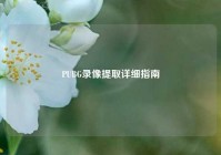 PUBG录像提取详细指南