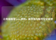 云电脑畅享Steam游戏，新体验与账号安全疑虑