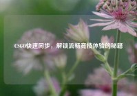 CSGO快速同步，解锁流畅竞技体验的秘籍