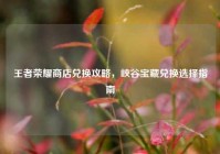 王者荣耀商店兑换攻略，峡谷宝藏兑换选择指南