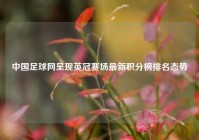 中国足球网呈现英冠赛场最新积分榜排名态势