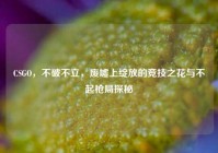 CSGO，不破不立，废墟上绽放的竞技之花与不起枪局探秘