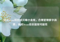 别让Steam钱包成沉睡小金库，合理管理数字消费，探究Steam钱包提现可能性