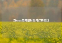 当Steam无网络时如何打开游戏