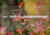 PUBG，进度条不动与进程崩溃的困扰及解决办法