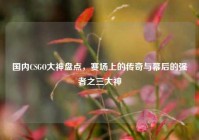 国内CSGO大神盘点，赛场上的传奇与幕后的强者之三大神