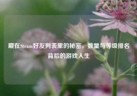 藏在Steam好友列表里的秘密，数量与等级排名背后的游戏人生