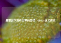 解密数字游戏世界的密钥，CD Key含义探究