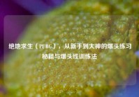 绝地求生（PUBG），从新手到大神的爆头练习秘籍与爆头线训练法