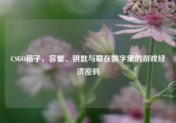 CSGO箱子，容量、钥匙与藏在数字里的游戏经济密码