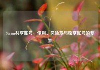 Steam共享账号，便利、风险及与独享账号的差异
