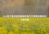 CSGO电子脉冲皮肤磨损区角与天津格林国际幼儿园学费