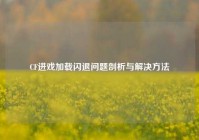 CF进戏加载闪退问题剖析与解决方法
