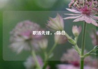 职场先锋，cf韩总