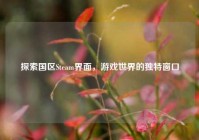 探索国区Steam界面，游戏世界的独特窗口