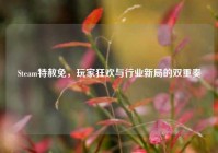 Steam特赦免，玩家狂欢与行业新局的双重奏