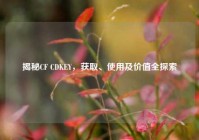 揭秘CF CDKEY，获取、使用及价值全探索