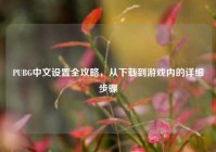 PUBG中文设置全攻略，从下载到游戏内的详细步骤