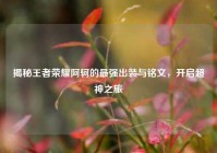 揭秘王者荣耀阿轲的最强出装与铭文，开启超神之旅