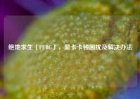 绝地求生（PUBG），显卡卡顿困扰及解决办法