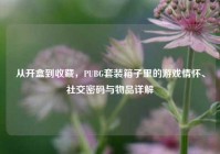 从开盒到收藏，PUBG套装箱子里的游戏情怀、社交密码与物品详解