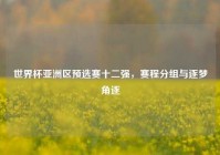 世界杯亚洲区预选赛十二强，赛程分组与逐梦角逐