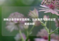 探秘王者荣耀充值周期，玩家消费与游戏运营策略剖析