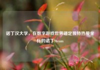 诺丁汉大学，在数字游戏世界锚定独特热爱坐标的诺丁Steam