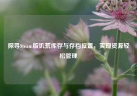 探寻Steam版饥荒库存与存档位置，实现资源轻松管理