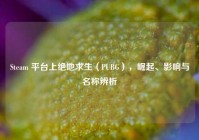 Steam 平台上绝地求生（PUBG），崛起、影响与名称辨析