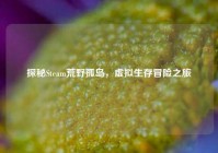 探秘Steam荒野孤岛，虚拟生存冒险之旅