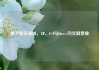 数字娱乐领域，CF、GO与Steam的交融景象