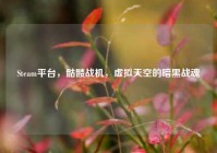 Steam平台，骷髅战机，虚拟天空的暗黑战魂