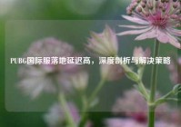 PUBG国际服落地延迟高，深度剖析与解决策略