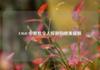 CSGO 中那些令人惊艳的绝美皮肤