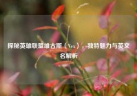 探秘英雄联盟维古斯（Vex），独特魅力与英文名解析