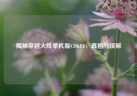 揭秘穿越火线单机版CDKEY，真相与误解