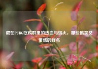 藏在PUBG吃鸡群里的热血与烟火，那些搞笑又带感的群名